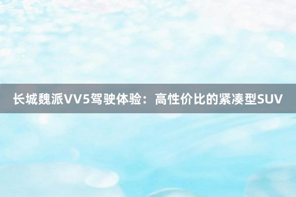 长城魏派VV5驾驶体验：高性价比的紧凑型SUV